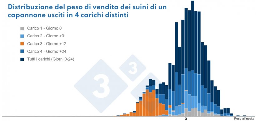 Si vede chiaramente che i suini&nbsp;di peso &quot;X&quot; provengono da 4 diverse sottopopolazioni.
